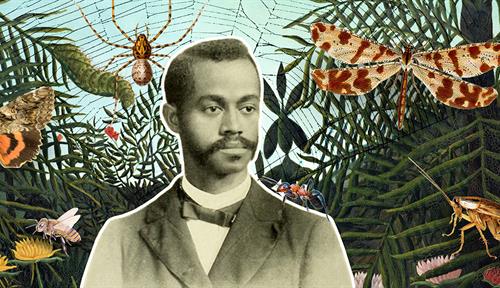 A photograph of zoologist Charles Henry Turner surrounded by a collage of some arthropods he studied, including spiders, bees, ants and moths.