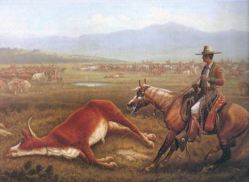 A roped cow lies on the ground, with a man on horseback nearby. Many other cattle are in the background.
