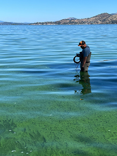 A man in waders tests lake water thick with algae