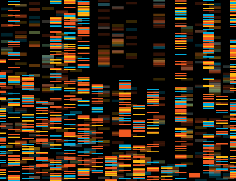 A colorful array shows results of a DNA test for genetic variants.