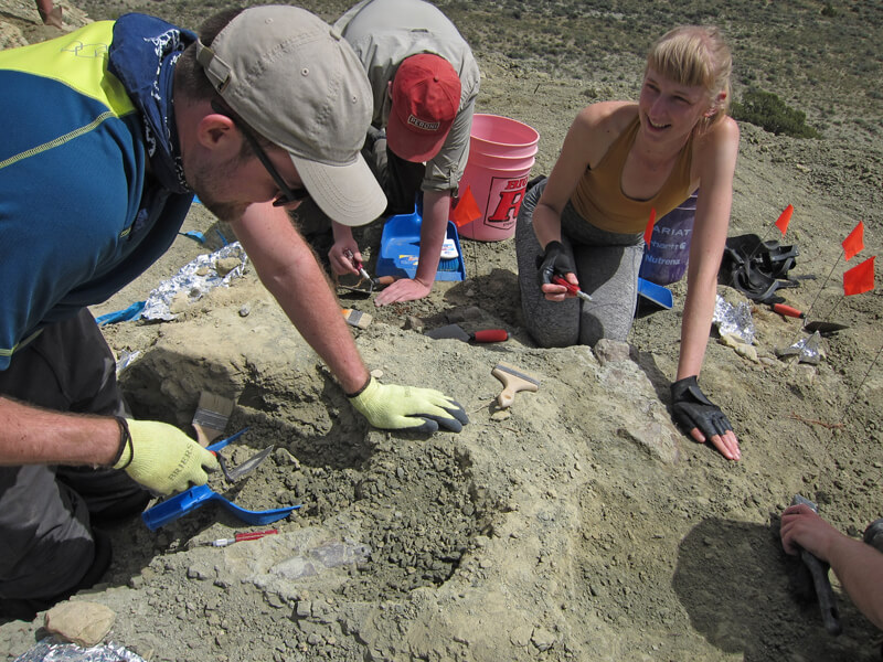 Photograph of Joe Bonsor kneeling on the ground holding a trowel. Dirt, tubs, marker flags and a dinosaur bone are seen. Two other workers are kneeling beside him.