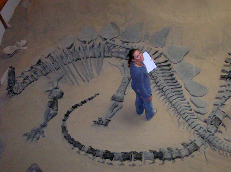 Photograph of Susie Maidment, taken from above, with the bones of a stegosaur around her. She is staring upward, smiling.