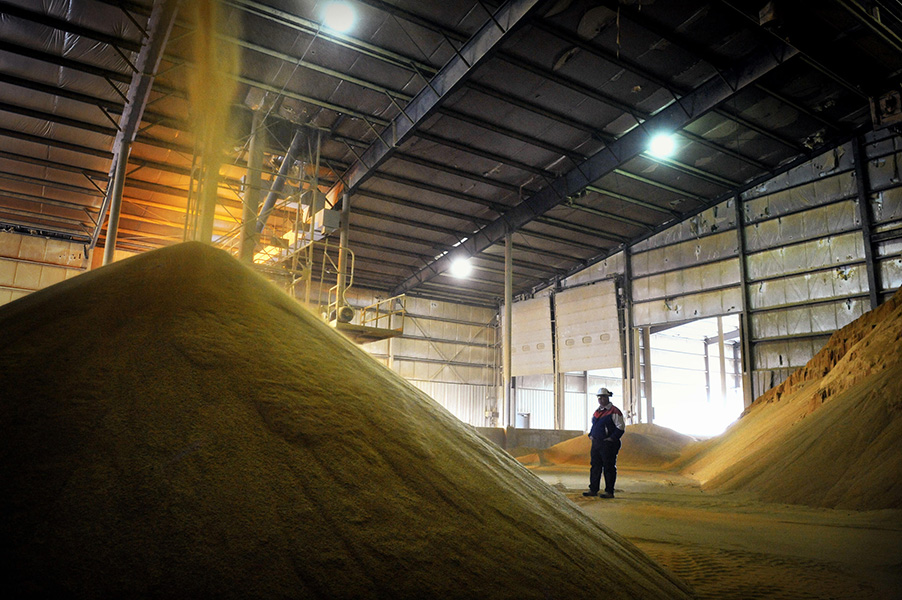 A man in a large barn watches as grain is dumped onto a large pile.