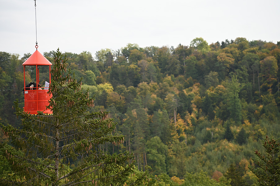Photo of a red gondola with people inside it suspended from a crane. Below is a forest.