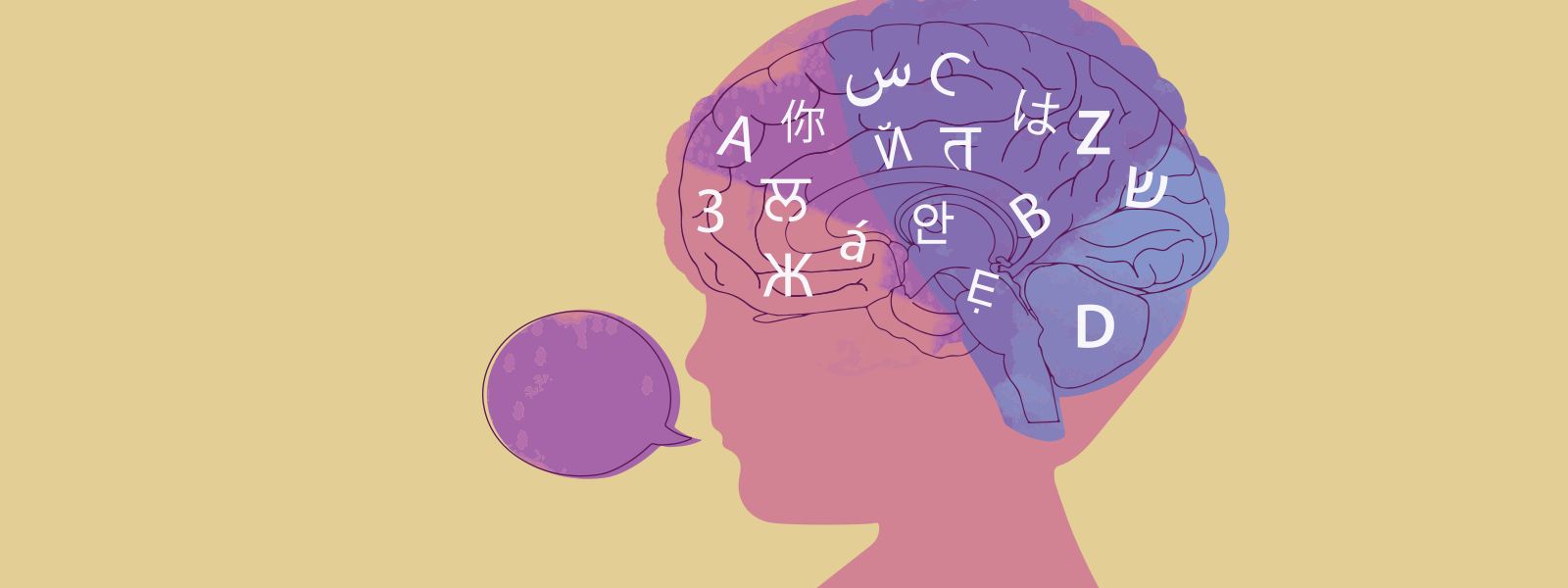 Bilingualism, the brain and society