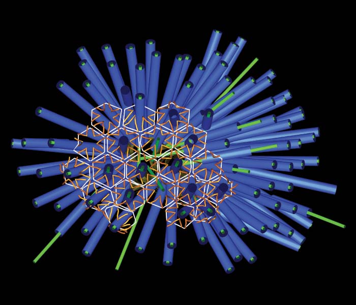 An illustration of the “death star” structure. An array of blue tubes bristle outward in a hemispherical arrangement, with hexagonal supporting structures holding them in place.