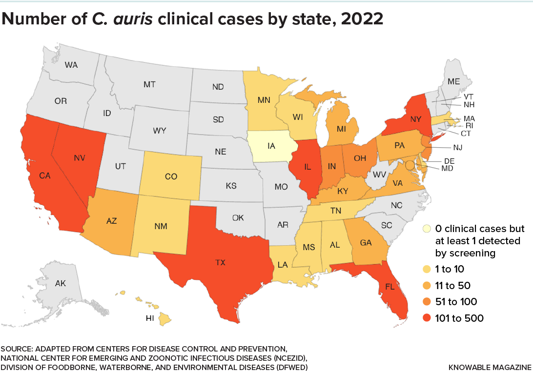 Map of US showing Candida auris cases in each state.