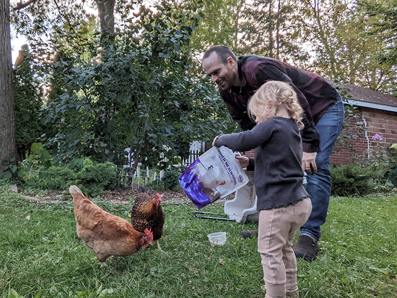 Photograph of man and daughter feeding chickens.