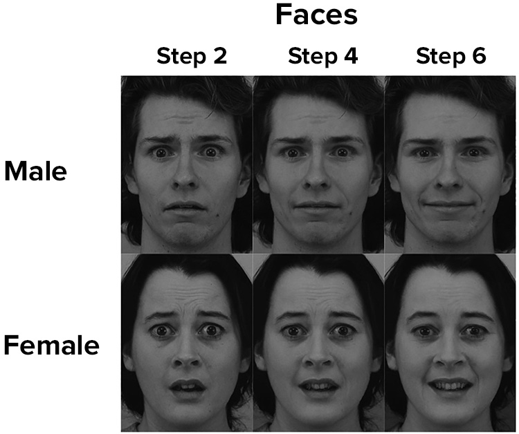 Two rows of three faces. Each row shows the same face with an expression that morphs from mostly fearful (left) to mostly happy (right)