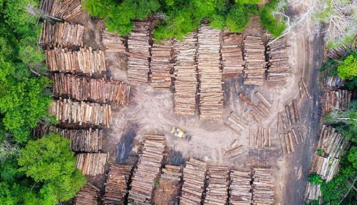 Aerial photograph showing piles of logs in a clearing in a forest.