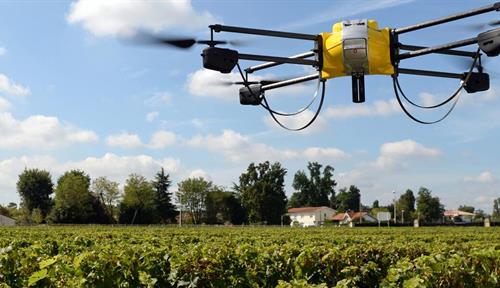 Drone equipped with sensors flies over a vineyard.