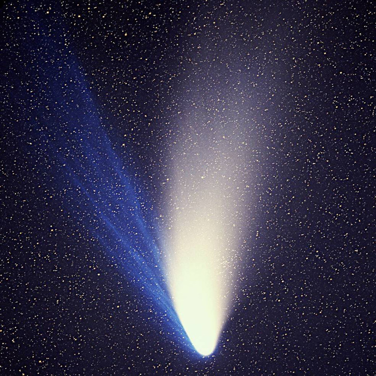 Photo shows a bright comet and its tail.