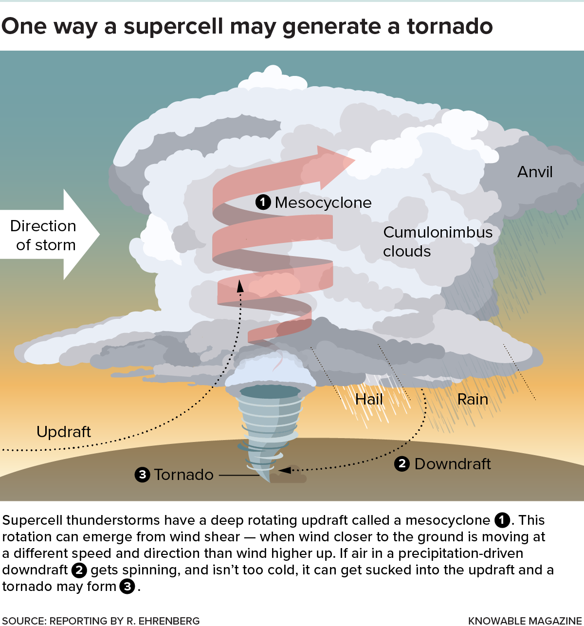 Graphic shows the updraft and downdrafts that contribute to tornado formation.