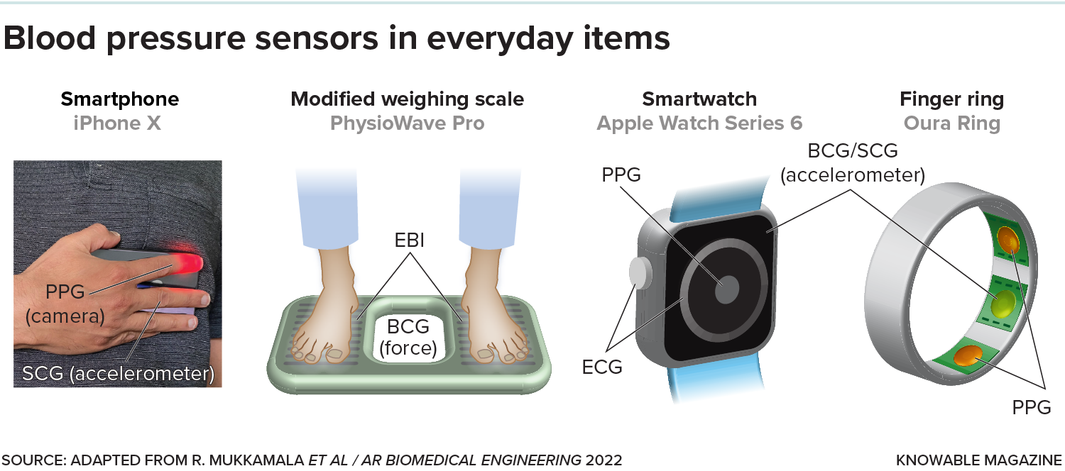 Graphic showing, from left to right, photos of an iPhone X phone, the PhysioWave Pro scale, the Apple Watch Series 6 smartwatch, and the Oura Ring. Shown in each are the types of blood pressure estimation sensors they use: photoplethysmography (PPG), electrocardiography (ECG), ballistocardiography (BCG), seismocardiography (ECG), and electrical bioimpedance (EBI).