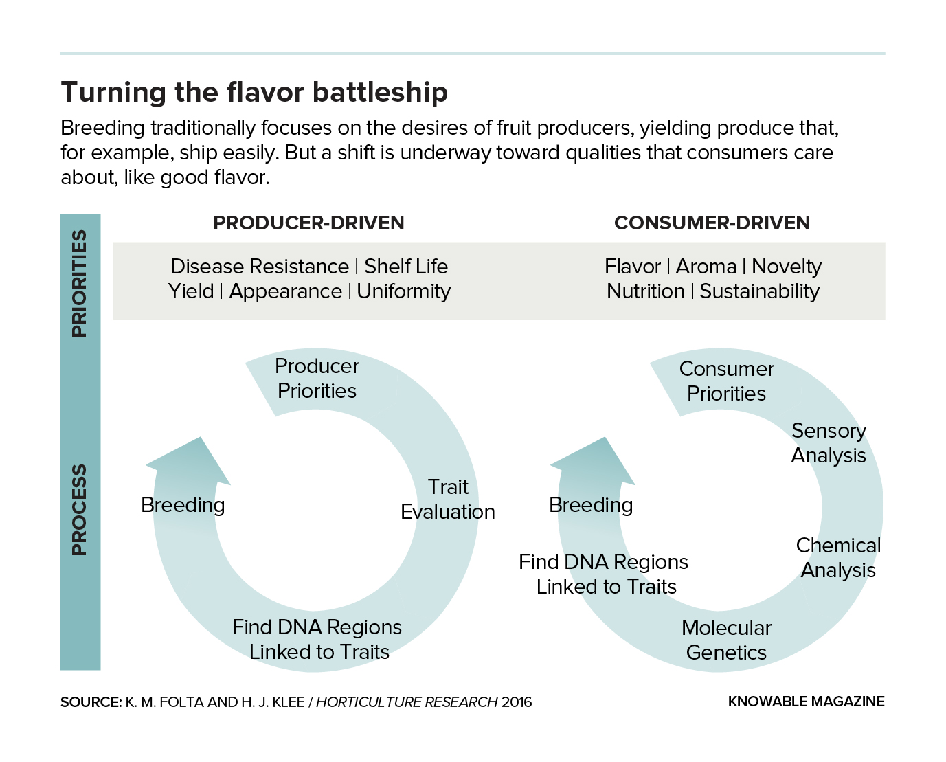 Graphic showing how breeding processes are different for consumer and grower/producers