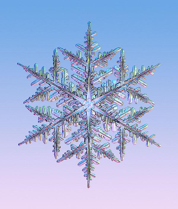 Snowflakes: Hexagonal beauty
