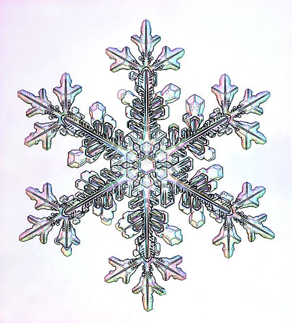Snowflakes: Constant variety