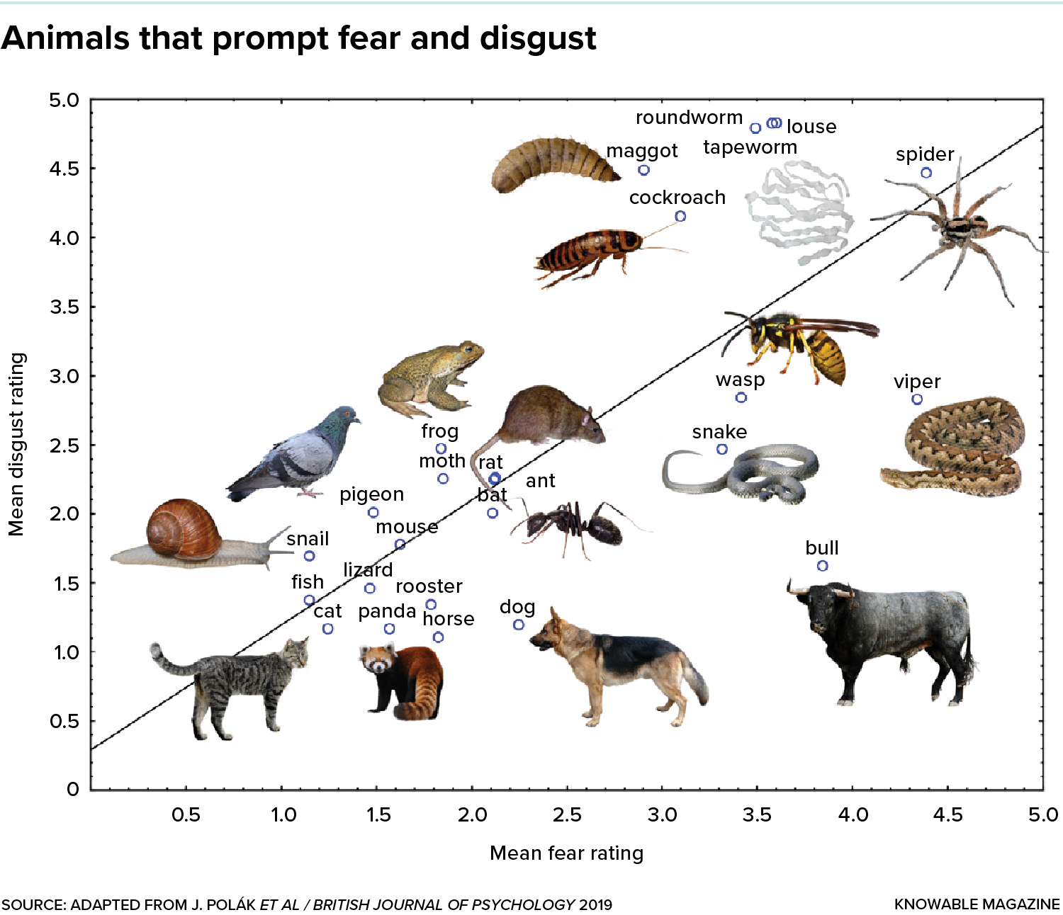A graph with fear on the X axis and disgust on the Y axis that plots people’s ratings for several animals including cat, pigeon, snail, snake, cockroach, wasp and spider.