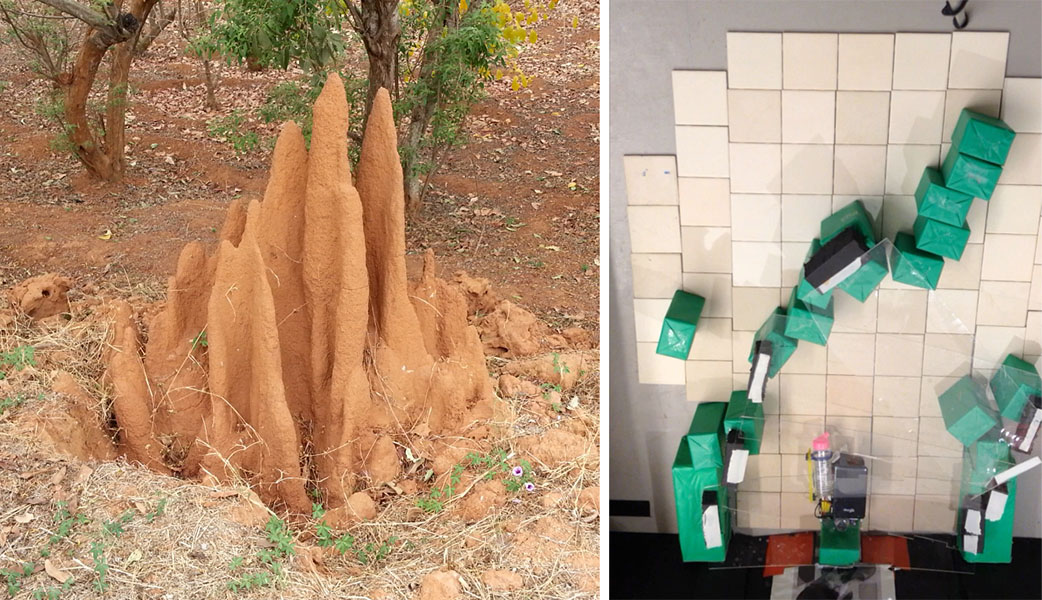 In the left photo, the sandy, fluted towers of a natural termite mound rise above the ground. At right a photo shows robots programmed to behave like termites moving colored blocks into a two-dimensional pattern of a tunnel entrance.