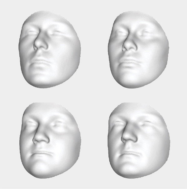 Computer images of four faces with different features