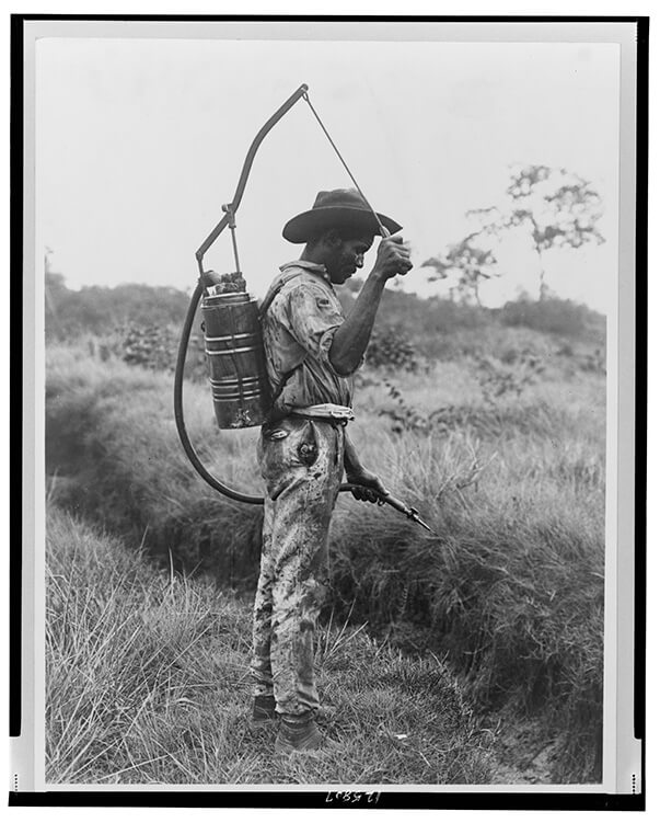 Black-and-white photo shows a man with a canister on his back, from which he drips liquid into a ditch via a connected hose.