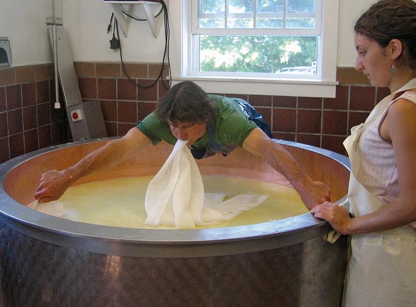 A man bends over a vat of cheese curds. His hands hold two corners of a large square of cheesecloth, while his mouth holds the other two corners.