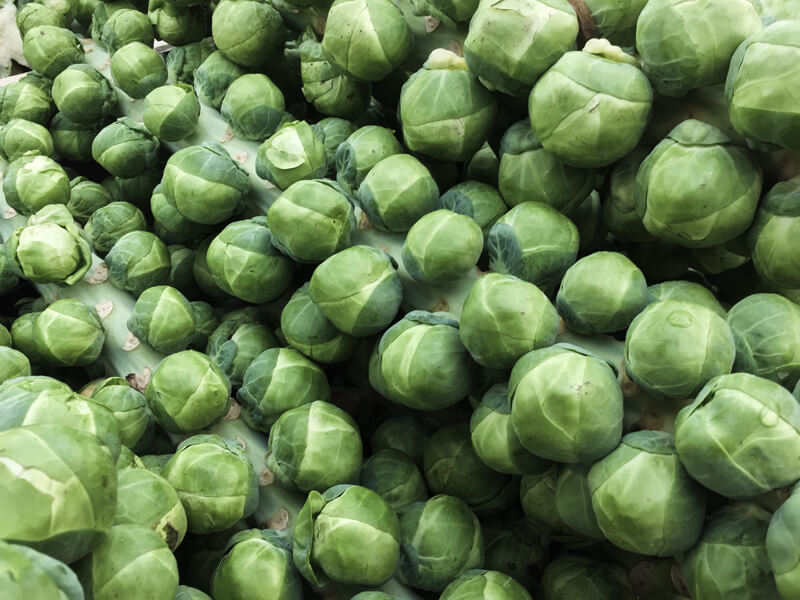 Vegetables such as the brussels sprouts shown in this photograph contain molecules that activate bitter taste receptors. Such receptors are found in the stomach and intestines as well as the mouth.