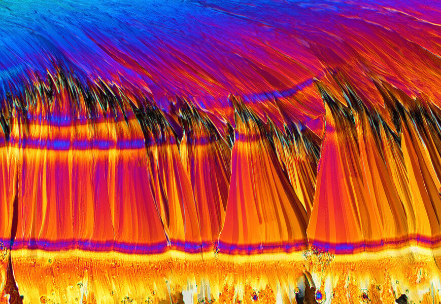 Image of saccharin crystals. Artificial sweeteners may activate sweet receptors in the gut, potentially influencing body physiology.