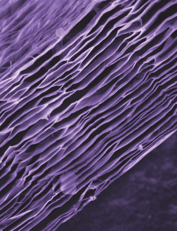 A photo shot through a microscope shows thin sheets of graphene oxide stacked on top of each other, looking slightly rumpled.