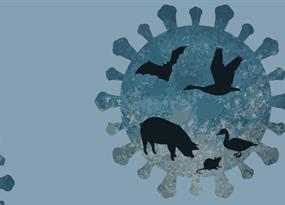 Preventing the next pandemic: Exploring the origins and spread of animal viruses