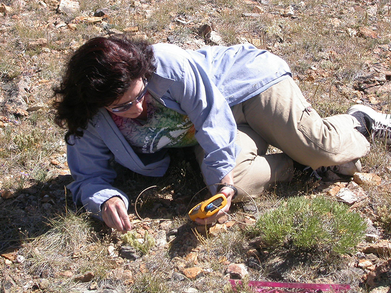 Photograph of a woman in long sleeved shirt and pale slacks crouched on the ground taking temperature measurements.