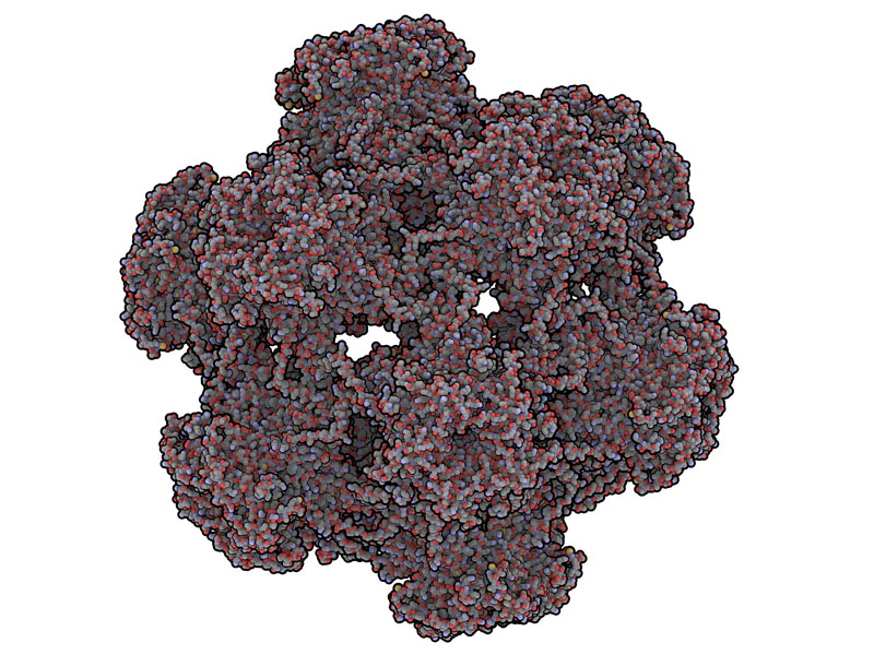 Artist rendition showing a very detailed geometric structure with molecules in it