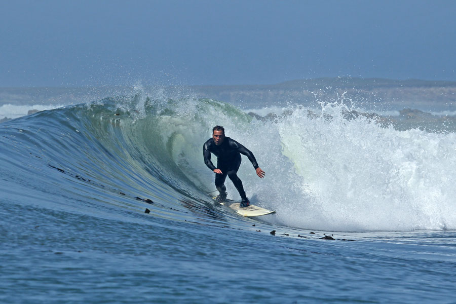 Photograph shows Lafferty catching a wave near Santa Barbara, California, where he lives and works studying marine creatures from microscopic parasites to great white sharks.
