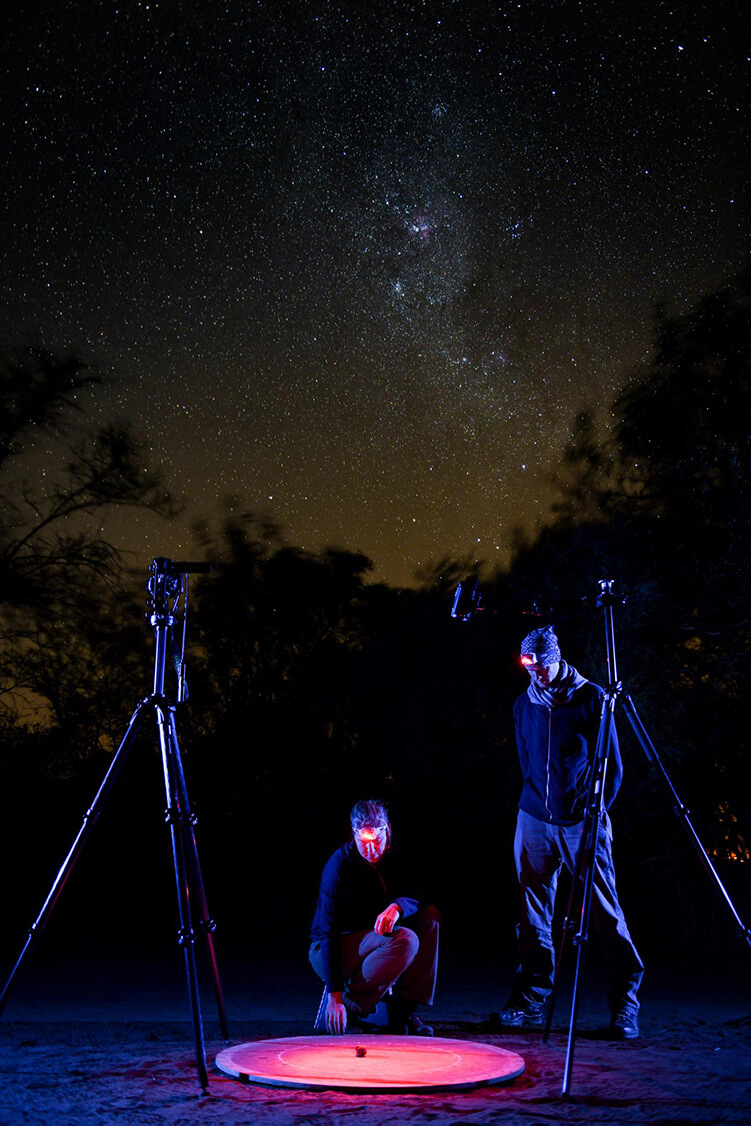 Photograph of two scientists outdoors on a dark night; one of them is crouched down looking at a dung beetle in the middle of a small, illuminated arena. The Milky Way is visible in the night sky; there are several tripods in the photo.