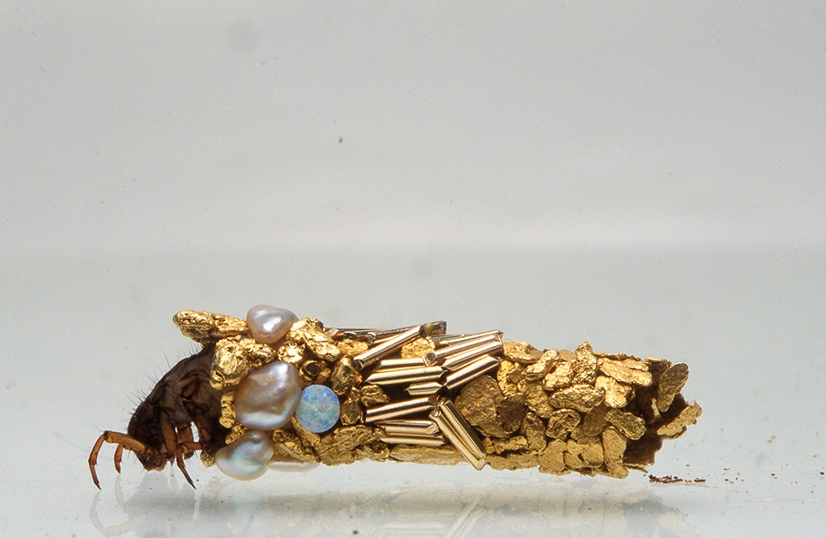 Photo shows a close up of a larva almost entirely cocooned in flecks of gold, pearls, a gem and gold cylinders.