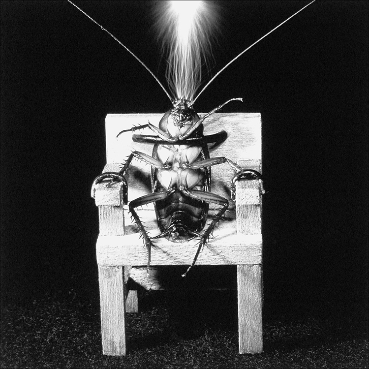 Image shows the artwork “Electric Chair” in which a cockroach is seated in a small wooden model of a chair, its forelegs tucked under metal restraints and a flash of light above the insect’s head.