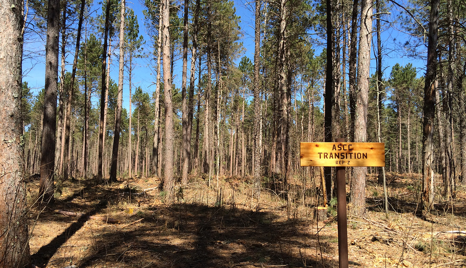 Foto de un bosque de coníferas. Un cartel dice “ASCC TRANSITION.”
