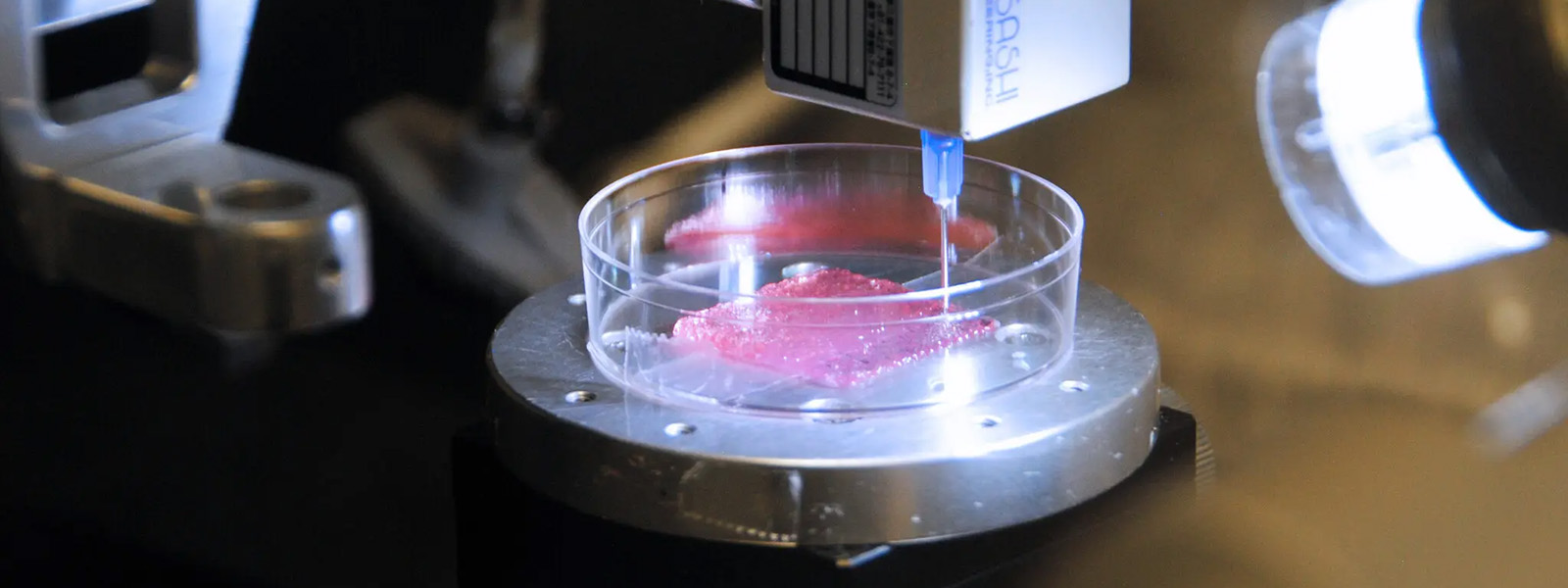 The head of a 3D printer squirts liquid into a Petri dish containing pink tissue.