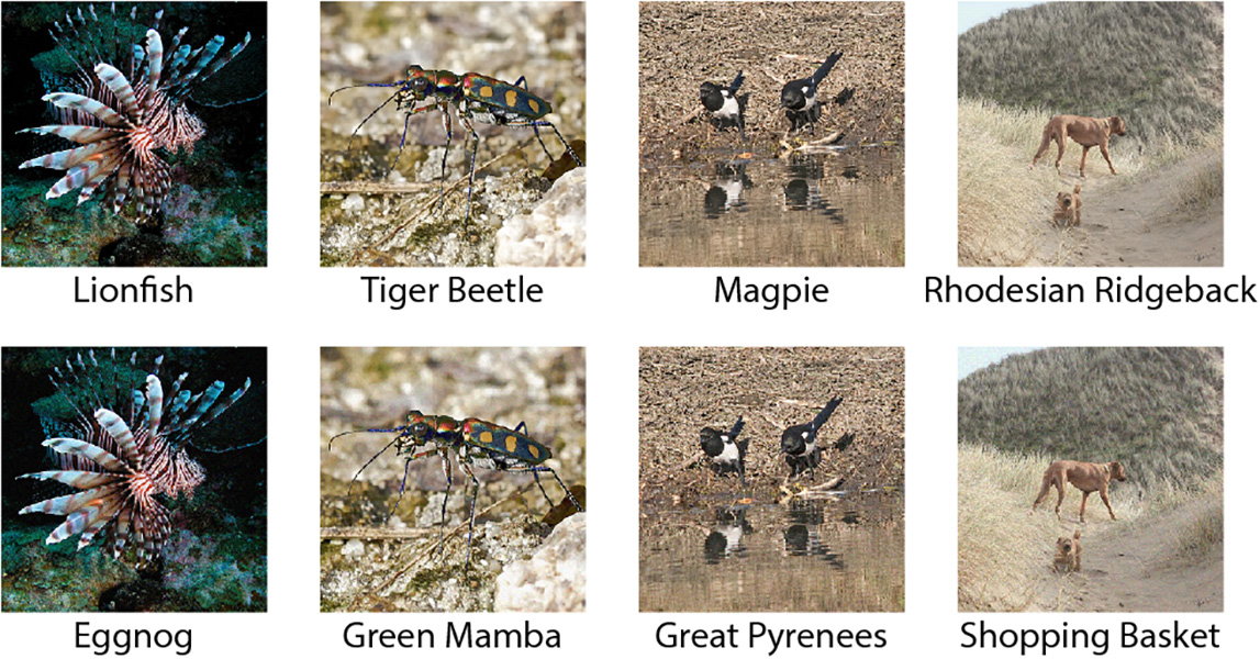 Adversarial images Four images that confused a computer vision program