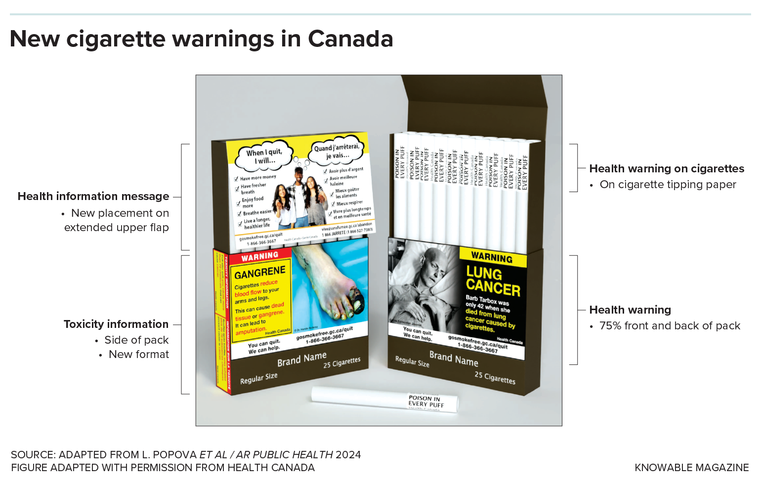 Figure shows an array of proposed Canadian cigarette warnings. They include images of a gangrenous toe and a person dying of lung cancer, warnings on individual cigarettes, positive statements about quitting and resources.