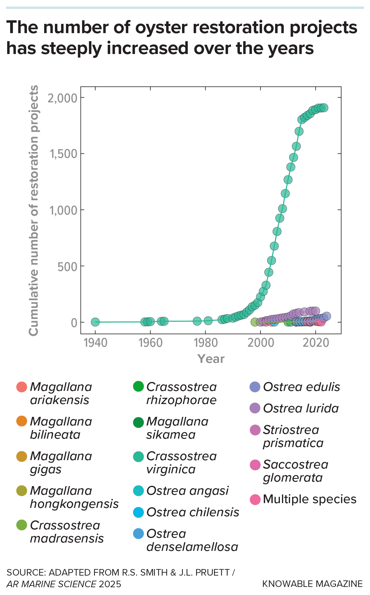 Eastern oyster restoration A graph from 1940 to beyond 2020 shows the cumulative number of restoration projects. Lines are color coded for different oyster species. The vast majority of projects involve the Eastern oyster and the rise is steep.