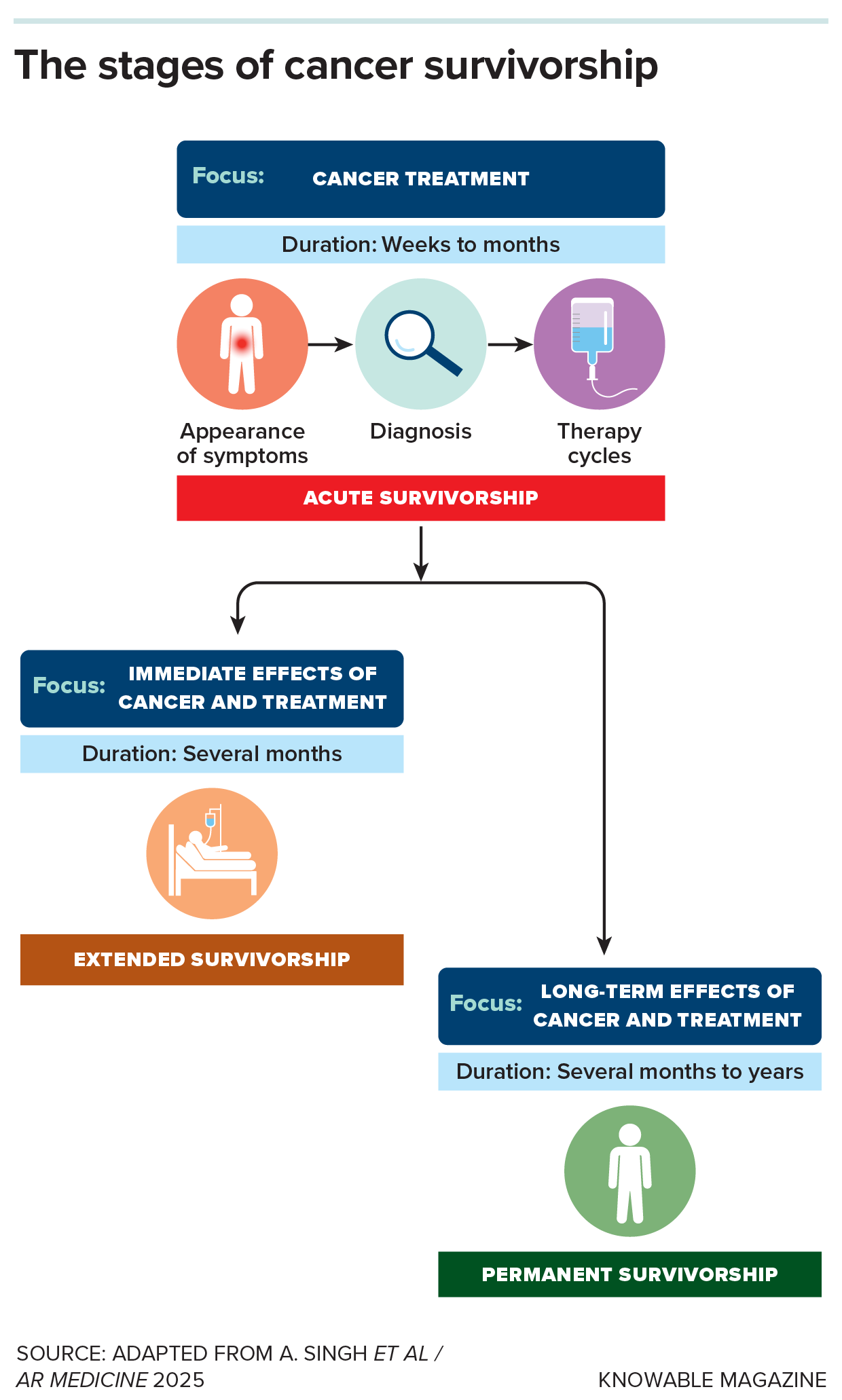 Graphic showing the stages of cancer survivorship