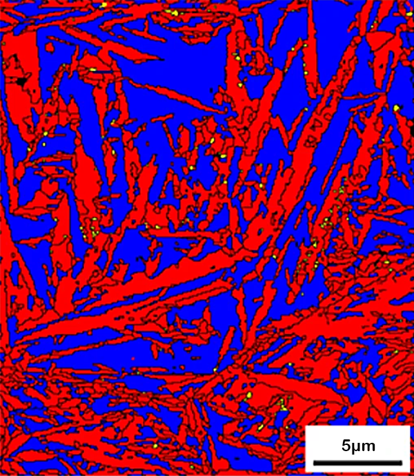 Micrograph showing a complex pattern of blue and red regions