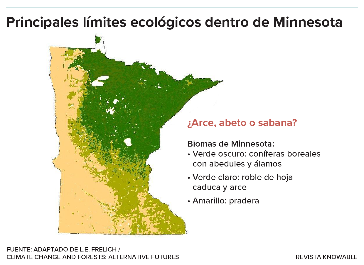 Un mapa de Minnesota muestra los principales biomas.