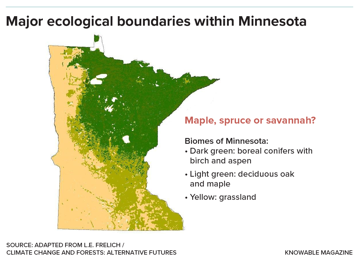 A map of Minnesota with major biomes shown.