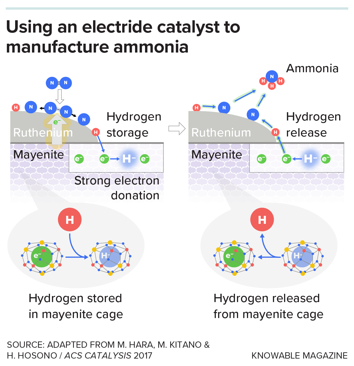 Mayenite catalyst a graphic depicts how atomic bonds of nitrogen are broken using a mayenite catalyst that donates electrons. Then the atoms move onto ruthenium where they are combined with hydrogen (stored and then donated by the mayenite) to form ammonia.