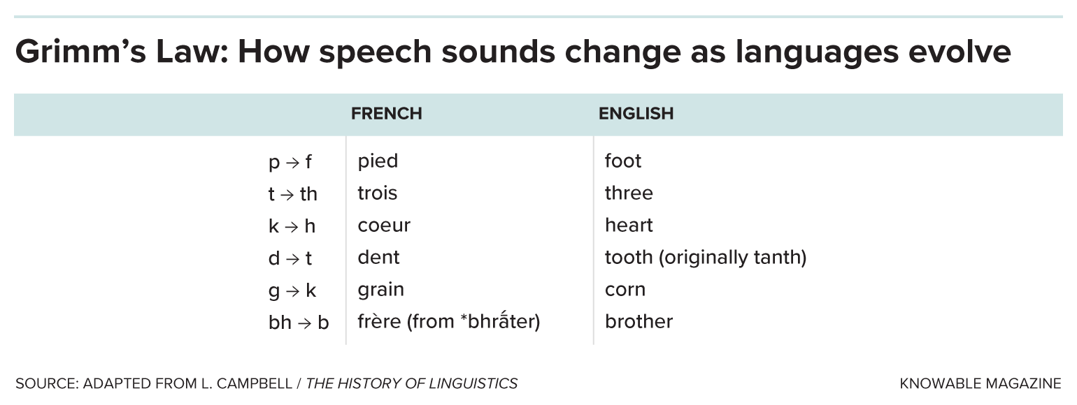 A chart illustrating Grimm’s Law through differences between French and English pronunciation of related words, such as “trois” and “three.”