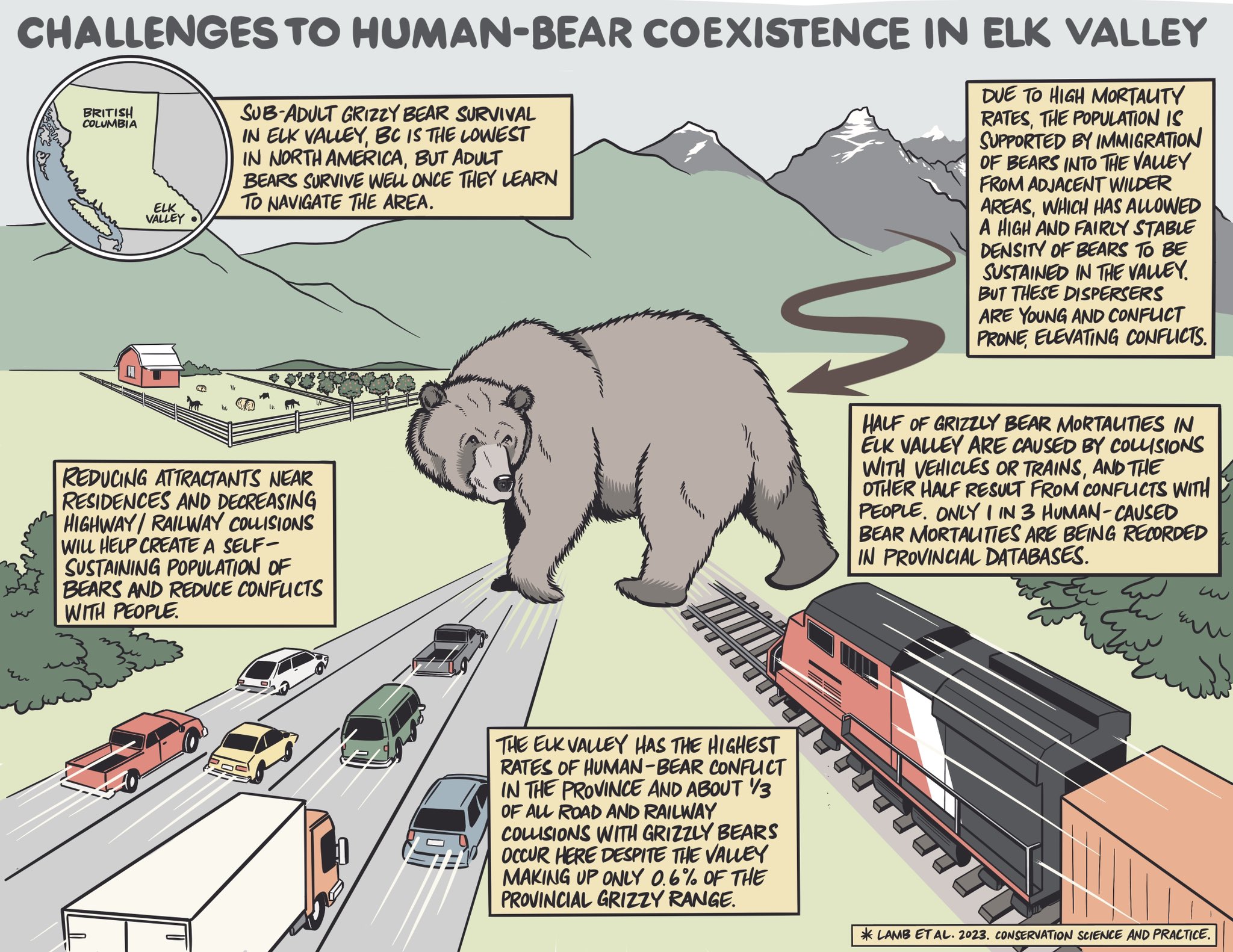 Human threats Graphic showing how human activities such as highways, railroads and other interactions threaten grizzly bears.
