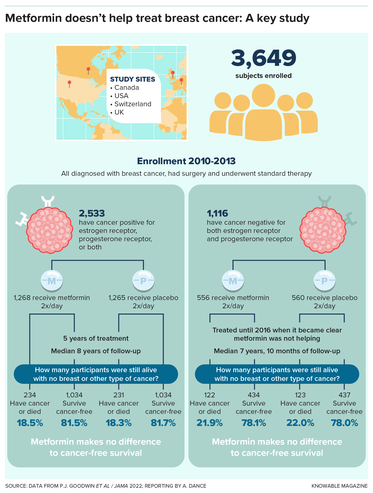 A graphic illustrates international study sites, enrollee numbers and breakdown of results for a trial of metformin for treating breast cancer.