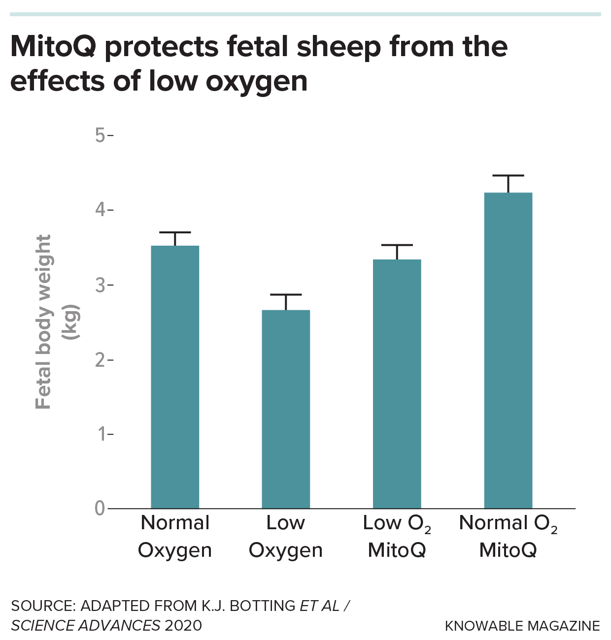 Bar graph of fetal body weight in sheep showing various conditions in experiment.